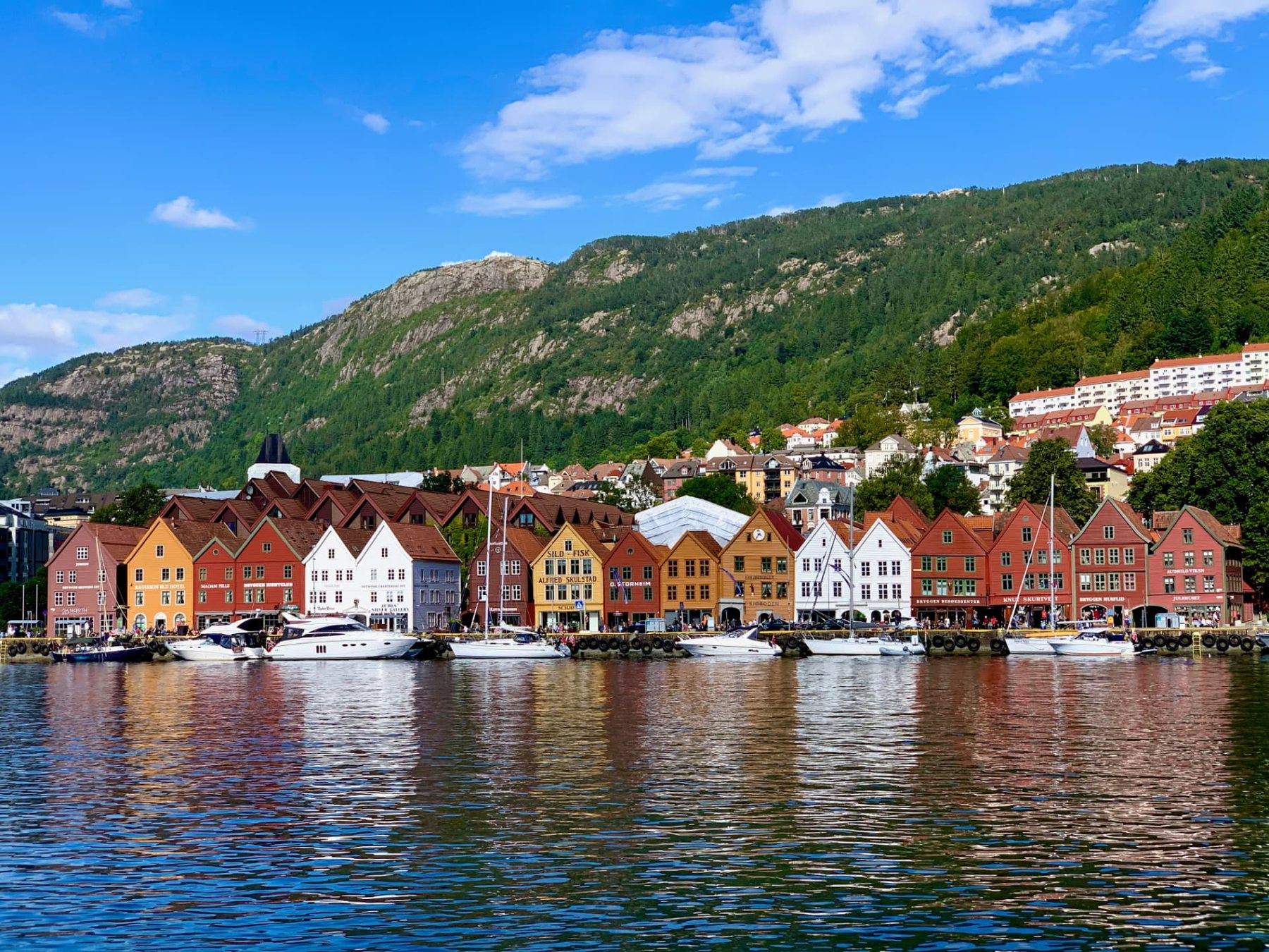 Bryggen's painted wooden wharf houses reflected in Bergen harbour