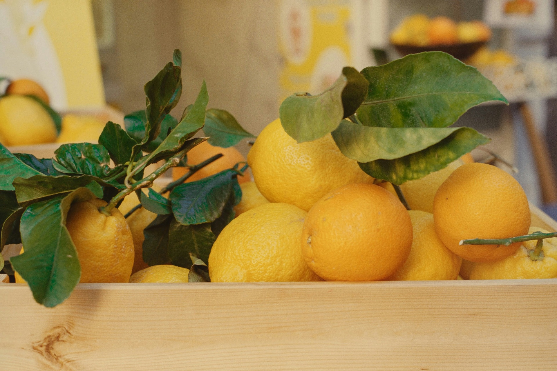 A crate of Amalfi lemons with their leaves