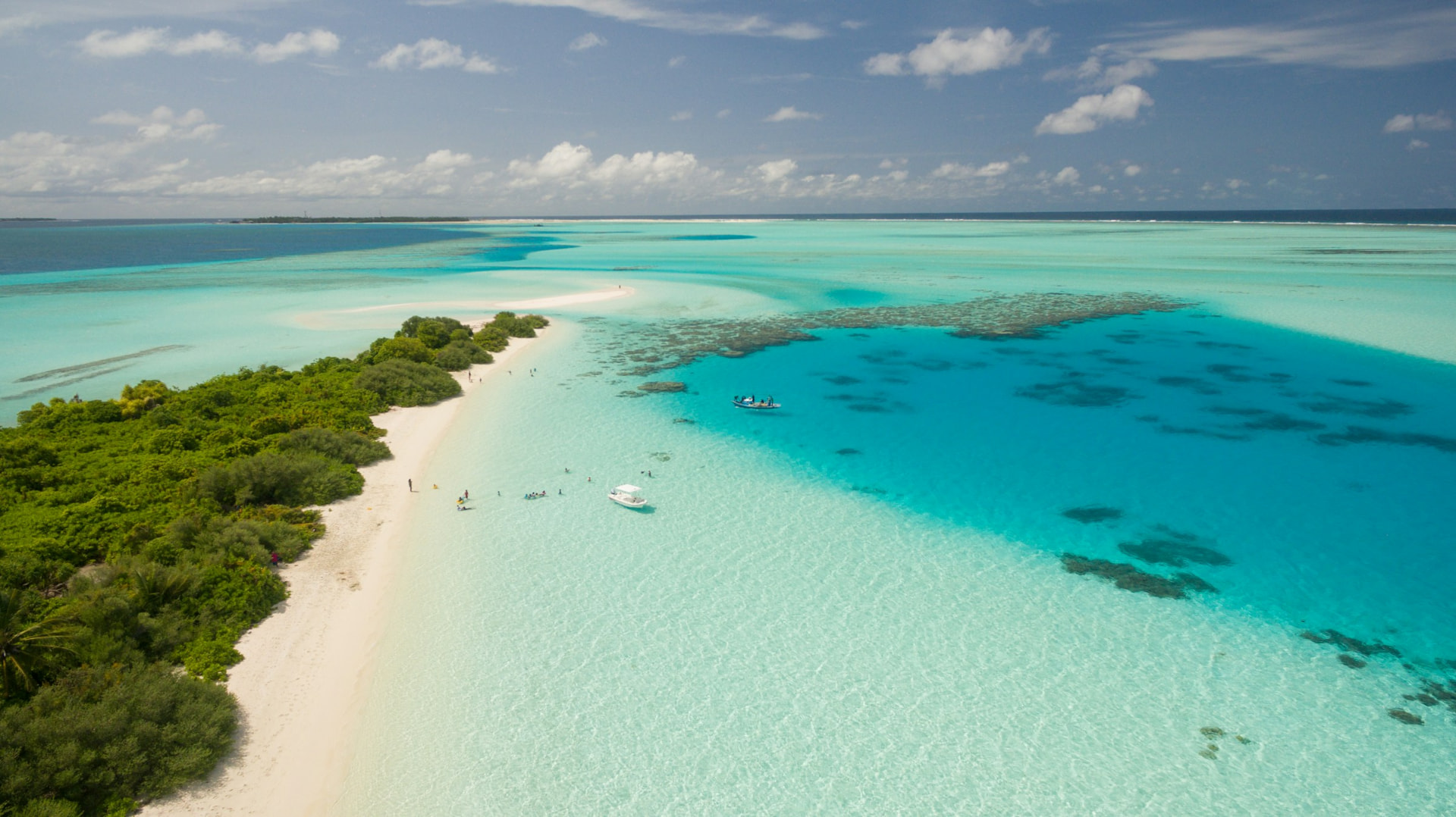 A tropical sandbar surrounded by shallow turquoise water and reef