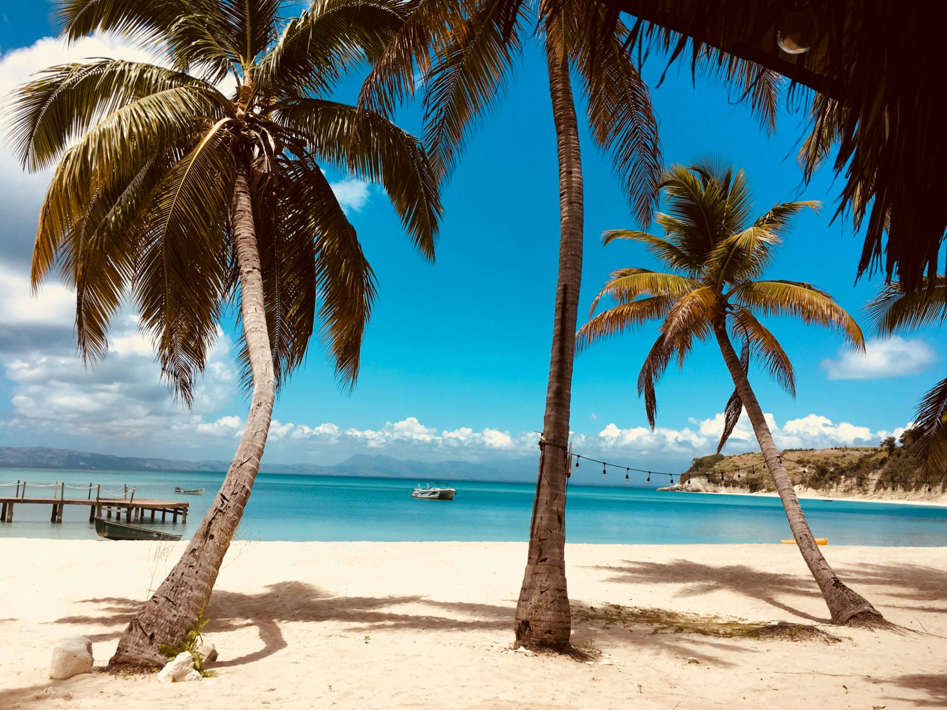 A quiet white-sand Caribbean beach framed by palm trees