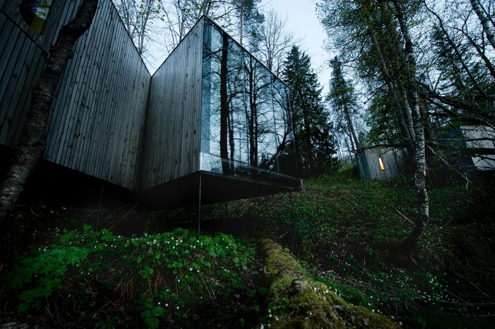 A glass-fronted Juvet cabin raised above the forest floor. Photo: Juvet Landscape Hotel