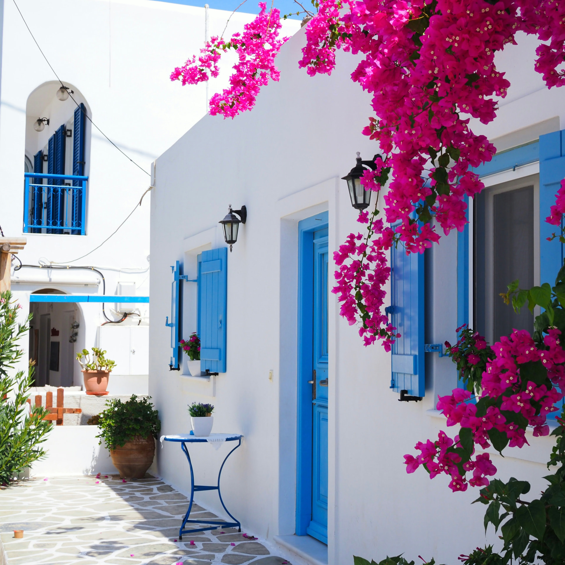 A whitewashed Greek island lane framed by bougainvillea