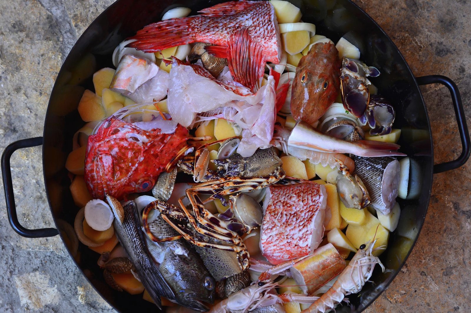 Fresh Adriatic fish and shellfish ready for the pot
