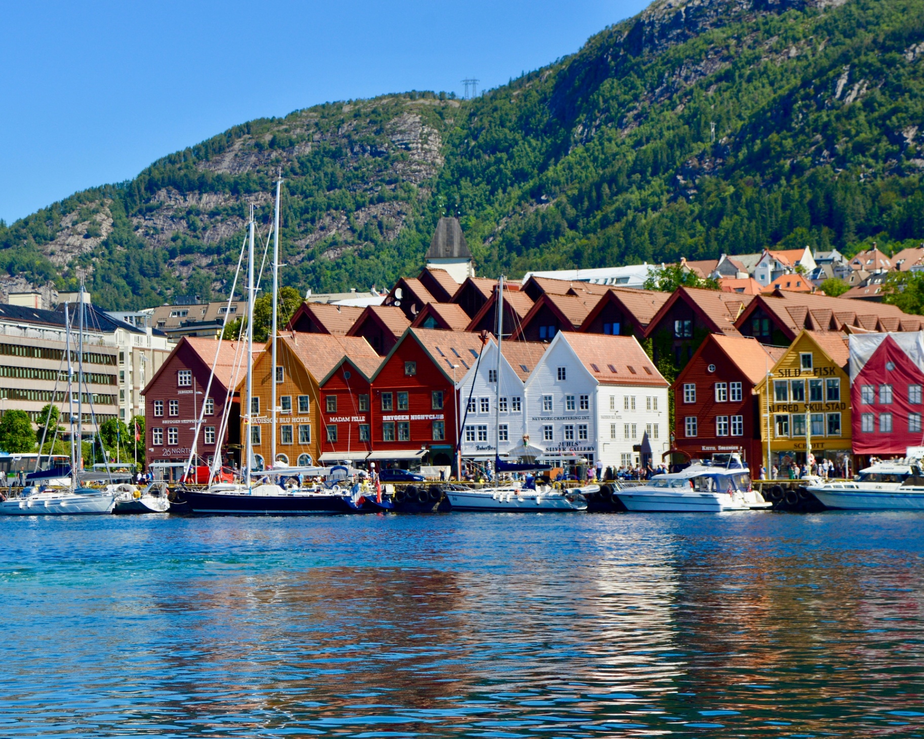 Bryggen's colourful wooden warehouses reflected in Bergen harbour beneath a green mountain