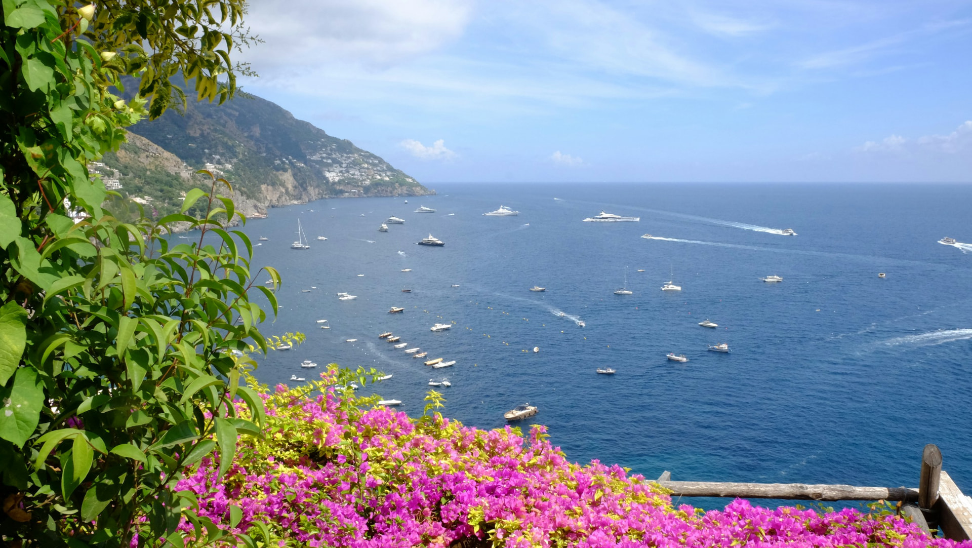 Bougainvillea above the yachts off Positano