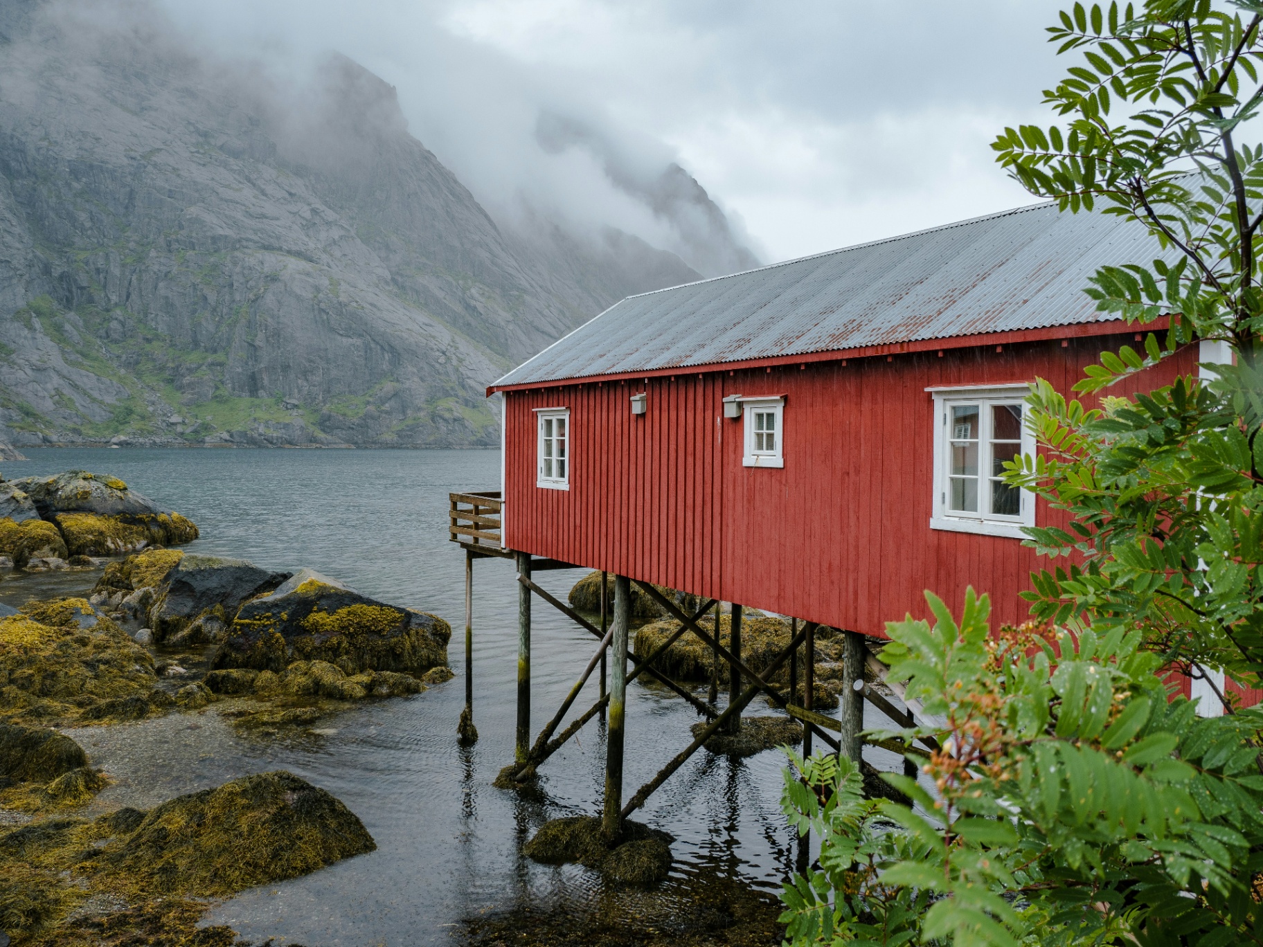 A red timber rorbu on stilts above the water beneath misty Lofoten peaks