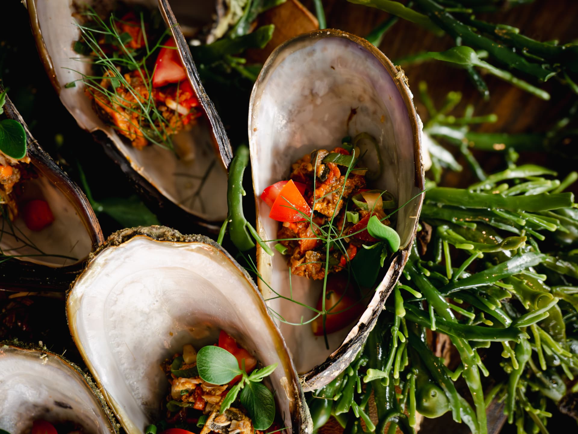 Filled mussel shells served on sea herbs. Photo: Cornelius Sjømatrestaurant